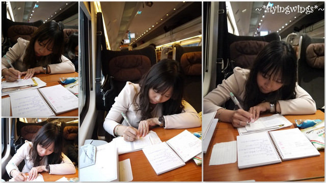 ❤HonEyMOon❤Day 4 『歐洲之星(高速火車)』→前進威尼斯→夜遊威尼斯2012。04。10