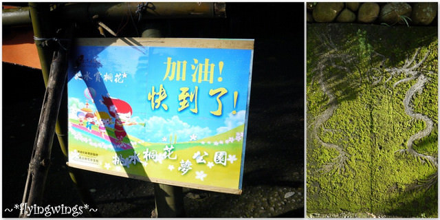 2012。04。29~2012桐花季(趴兔)。彰化芬園~挑水古道 - 第8張圖 2012。04。29~2012桐花季(趴兔)。彰化芬園~挑水古道