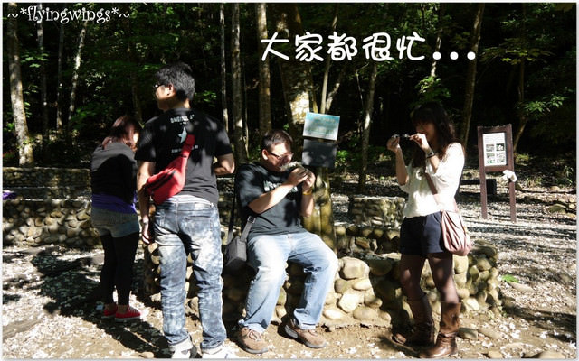 2012。04。29~2012桐花季(趴兔)。彰化芬園~挑水古道 - 第11張圖 2012。04。29~2012桐花季(趴兔)。彰化芬園~挑水古道