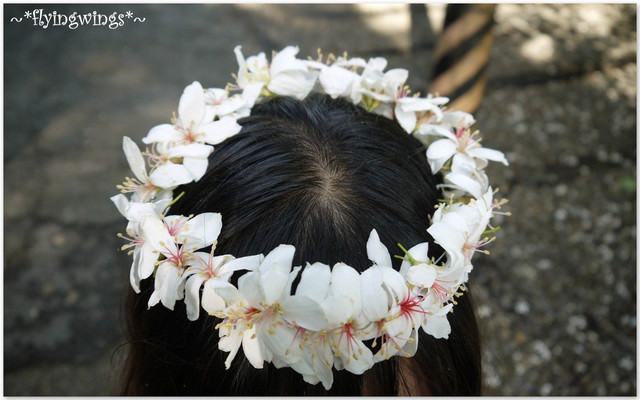 2012。04。29~2012桐花季(趴兔)。彰化芬園~挑水古道 - 第15張圖 2012。04。29~2012桐花季(趴兔)。彰化芬園~挑水古道