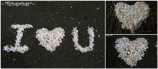 2012。04。29~2012桐花季(趴兔)。彰化芬園~挑水古道 - 第45張圖 2012。04。29~2012桐花季(趴兔)。彰化芬園~挑水古道