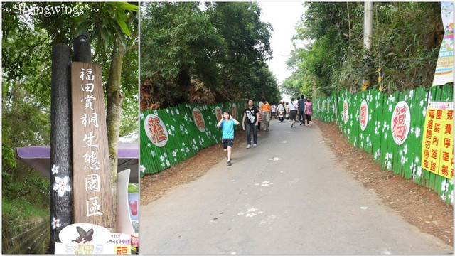 2012。04。22~2012桐花季(趴萬)。彰化芬園~福田社區 - 第8張圖 2012。04。22~2012桐花季(趴萬)。彰化芬園~福田社區