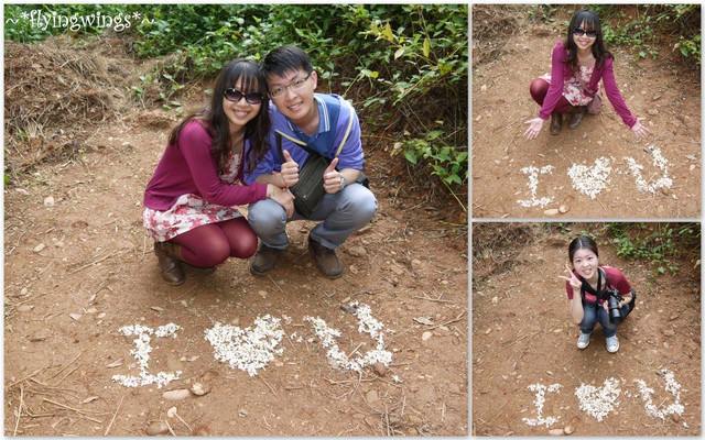 2012。04。22~2012桐花季(趴萬)。彰化芬園~福田社區 - 第27張圖 2012。04。22~2012桐花季(趴萬)。彰化芬園~福田社區