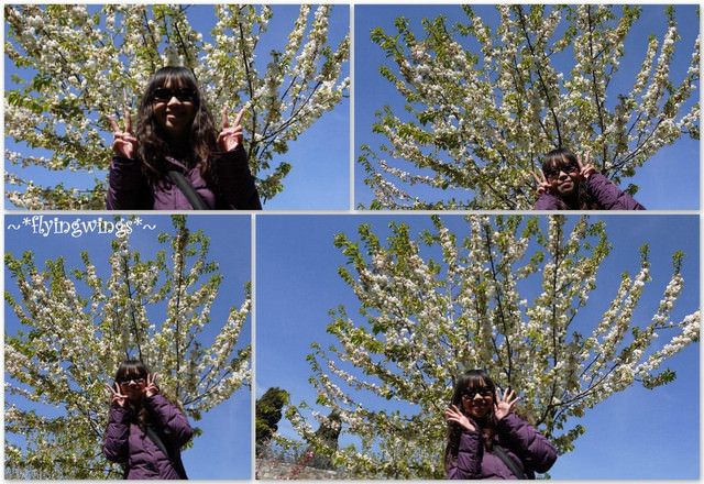 ❤HonEyMOon❤Day 3 美塔之城『聖吉米那諾Sangiminano』2012。04。09