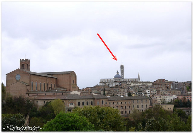 ❤HonEyMOon❤Day 2 中世紀珍珠『西恩那Siena』2012。04。08