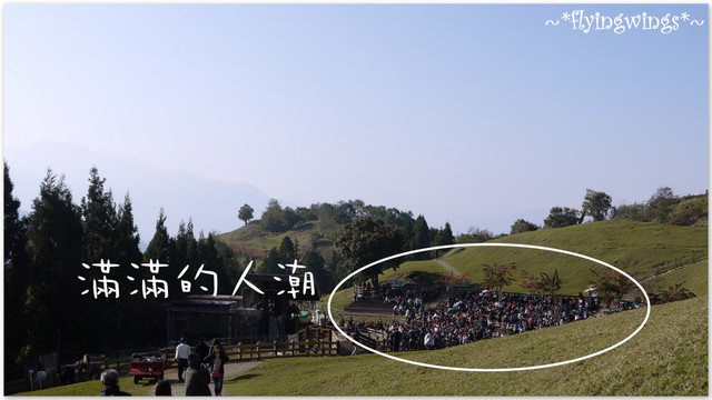 2011。12。24《遊》南投。天氣晴,我們追綿羊去!!『青青草原』 - 第22張圖 2011。12。24《遊》南投。天氣晴,我們追綿羊去!!『青青草原』