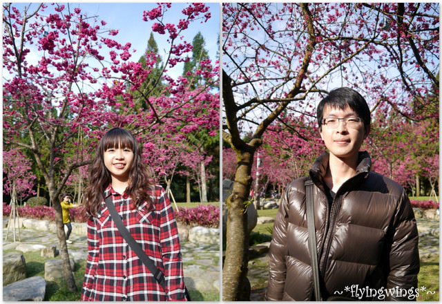 2012。02。18《遊》南投。粉紅色天空『九族櫻花祭』~ II - 第45張圖 2012。02。18《遊》南投。粉紅色天空『九族櫻花祭』~ II
