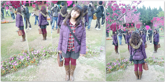 2012。02。18《遊》南投。粉紅色天空『九族櫻花祭』~ II - 第62張圖 2012。02。18《遊》南投。粉紅色天空『九族櫻花祭』~ II