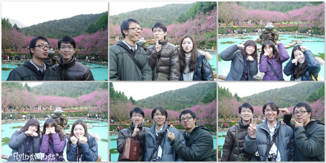 2012。02。18《遊》南投。粉紅色天空『九族櫻花祭』~ II - 第67張圖 2012。02。18《遊》南投。粉紅色天空『九族櫻花祭』~ II