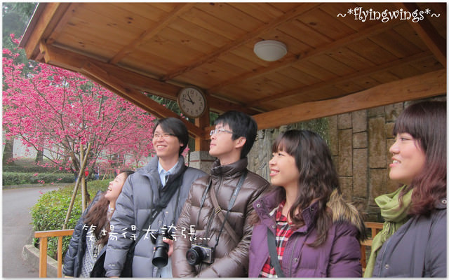 2012。02。18《遊》南投。粉紅色天空『九族櫻花祭』~ I