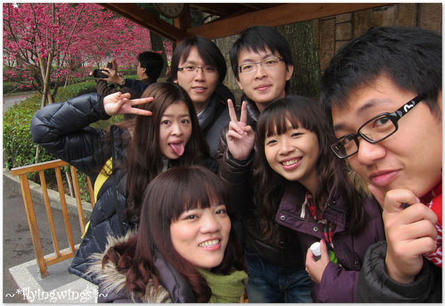 2012。02。18《遊》南投。粉紅色天空『九族櫻花祭』~ I