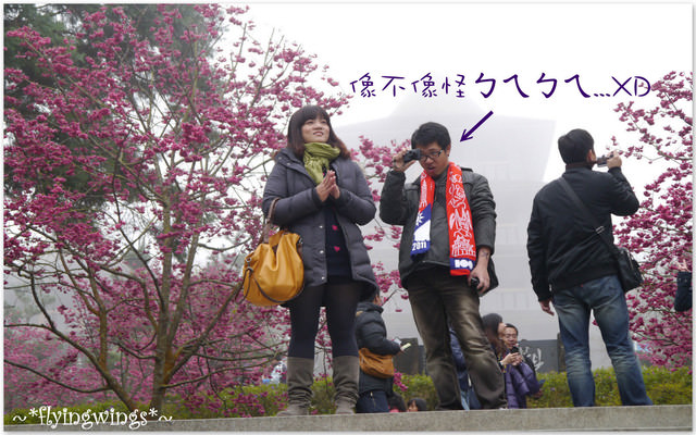 2012。02。18《遊》南投。粉紅色天空『九族櫻花祭』~ I