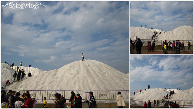 2012。01。26<<初四>>嘉南一日遊