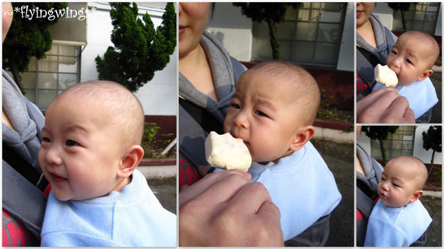 2012。01。26<<初四>>嘉南一日遊