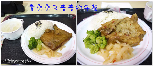 2011。12。22《遊》南投。九族文化村追草帽(上) - 第51張圖 2011。12。22《遊》南投。九族文化村追草帽(上)