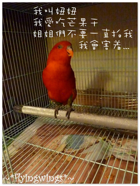 【後山飄浮翻船之旅】民宿介紹-美那多民宿 - 第13張圖 【後山飄浮翻船之旅】民宿介紹-美那多民宿