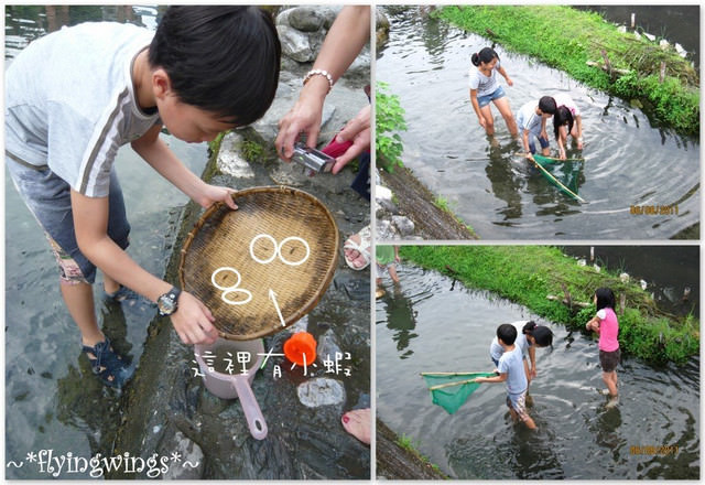 【後山漂浮翻船之旅】Day 1~馬太鞍濕地、紅瓦屋餐廳、女孩兒們過七夕