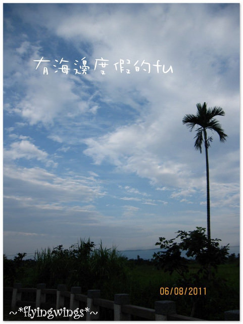【後山漂浮翻船之旅】Day 1~馬太鞍濕地、紅瓦屋餐廳、女孩兒們過七夕