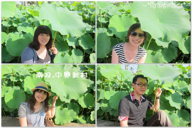 2011。05。29《遊》南投。『中興新村』賞荷去 - 第39張圖 2011。05。29《遊》南投。『中興新村』賞荷去
