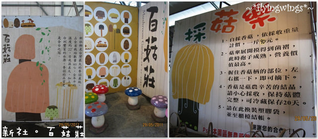 2011。05。29《食》新社。香菇大餐『百菇莊』 - 第14張圖 2011。05。29《食》新社。香菇大餐『百菇莊』