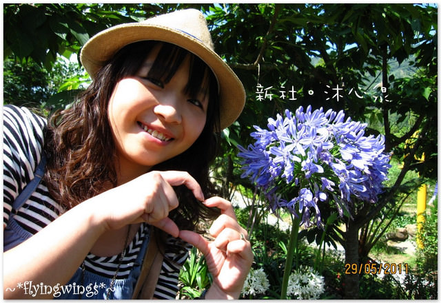 2011。05。29《遊》新社。橘色花海『沐心泉』 - 第20張圖 2011。05。29《遊》新社。橘色花海『沐心泉』