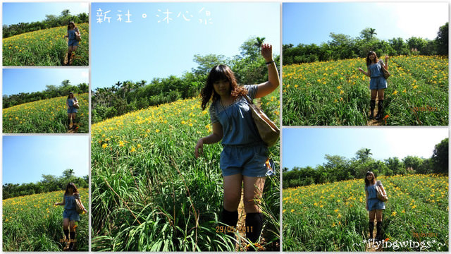 2011。05。29《遊》新社。橘色花海『沐心泉』 - 第42張圖 2011。05。29《遊》新社。橘色花海『沐心泉』