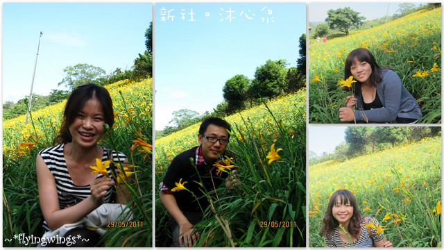 2011。05。29《遊》新社。橘色花海『沐心泉』 - 第44張圖 2011。05。29《遊》新社。橘色花海『沐心泉』