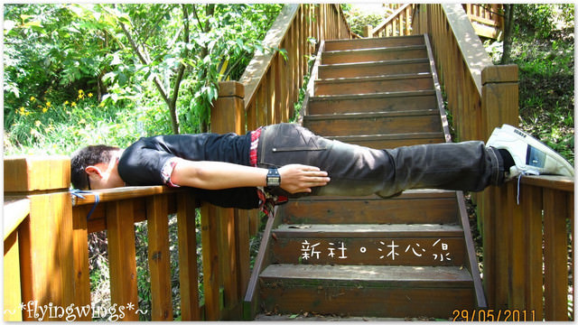2011。05。29《遊》新社。橘色花海『沐心泉』 - 第47張圖 2011。05。29《遊》新社。橘色花海『沐心泉』