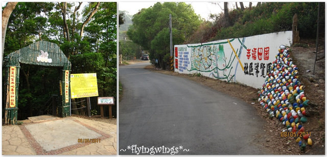 11。05。08~2011桐花季(趴叁)。彰化芬園~福田社區 - 第7張圖 11。05。08~2011桐花季(趴叁)。彰化芬園~福田社區