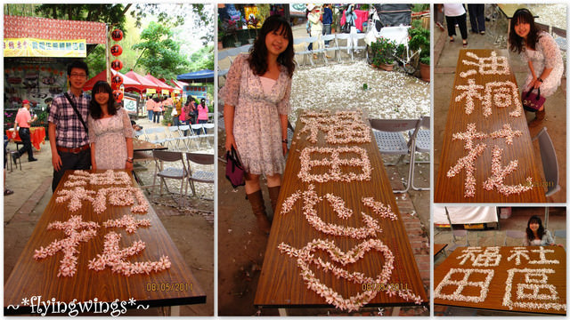 11。05。08~2011桐花季(趴叁)。彰化芬園~福田社區 - 第22張圖 11。05。08~2011桐花季(趴叁)。彰化芬園~福田社區