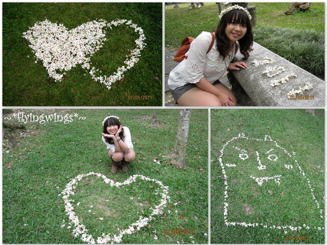 11。05。01~2011桐花季(趴兔)。南投埔里~牛耳藝術村 - 第12張圖 11。05。01~2011桐花季(趴兔)。南投埔里~牛耳藝術村