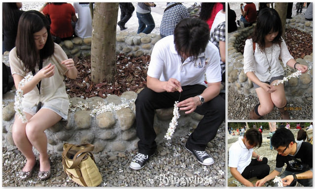 11。05。01~2011桐花季(趴萬)。彰化芬園~挑水古道 - 第39張圖 11。05。01~2011桐花季(趴萬)。彰化芬園~挑水古道