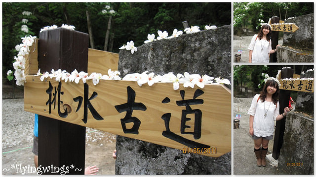 11。05。01~2011桐花季(趴萬)。彰化芬園~挑水古道 - 第65張圖 11。05。01~2011桐花季(趴萬)。彰化芬園~挑水古道