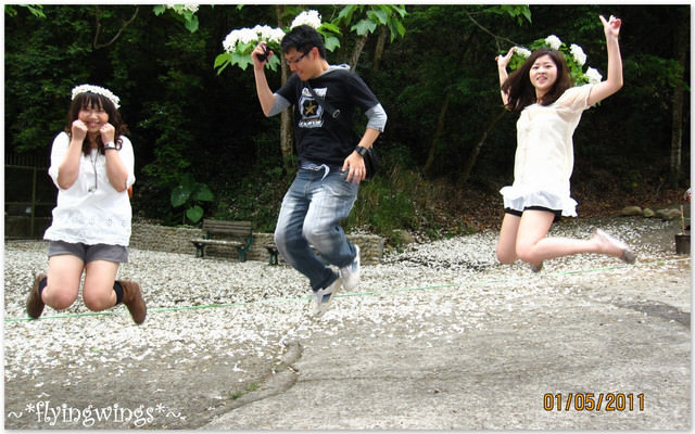 11。05。01~2011桐花季(趴萬)。彰化芬園~挑水古道 - 第71張圖 11。05。01~2011桐花季(趴萬)。彰化芬園~挑水古道