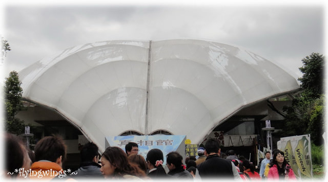 11。03。28~濕漉漉花博行~Day 2再累也要前進『夢想館』 - 第23張圖 11。03。28~濕漉漉花博行~Day 2再累也要前進『夢想館』