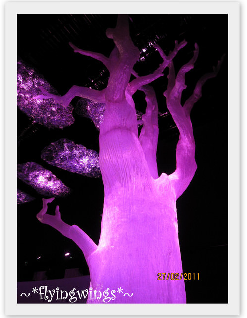 11。02。27~竹南。2011台灣燈會在苗栗-趴兔