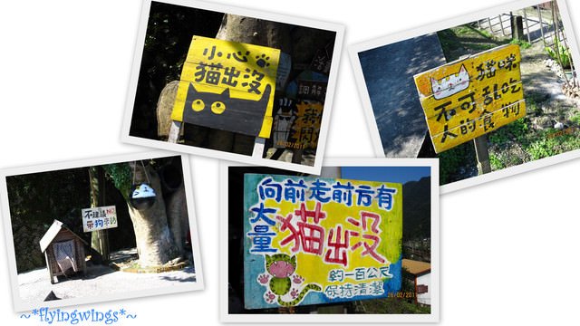 【鐵道旅行。幸福100】第八回。走~我們去平溪!(上)