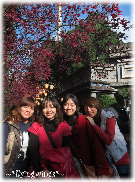 11。02。20~南投。粉紅天空『九族櫻花祭』 - 第99張圖 11。02。20~南投。粉紅天空『九族櫻花祭』