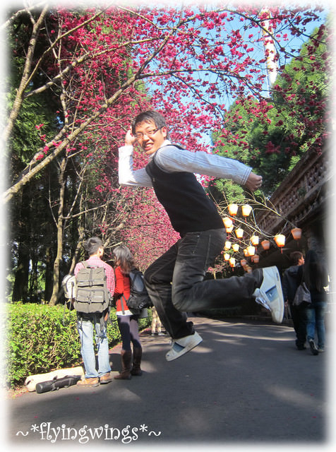 11。02。20~南投。粉紅天空『九族櫻花祭』 - 第101張圖 11。02。20~南投。粉紅天空『九族櫻花祭』