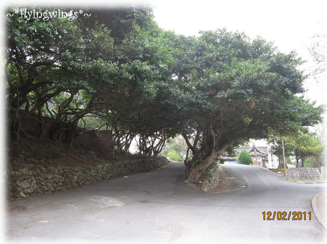 【鐵道旅行。幸福100】第五回。海線一日遊