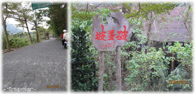 11。01。29~好久不見集集支線一日遊