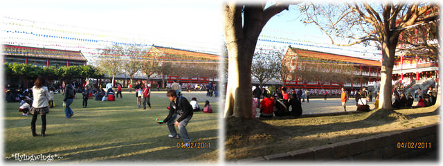 2011。02。04~初二八卦山散散步