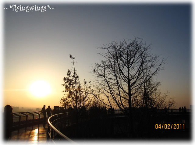 2011。02。04~初二八卦山散散步