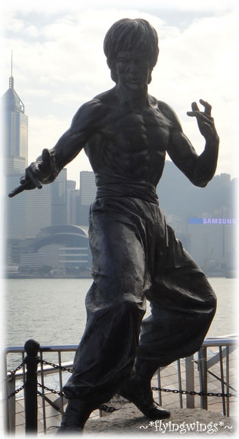 2010香港趴趴造~Day 3~兩個女生的奇幻旅行~星光大道、許留山甜品