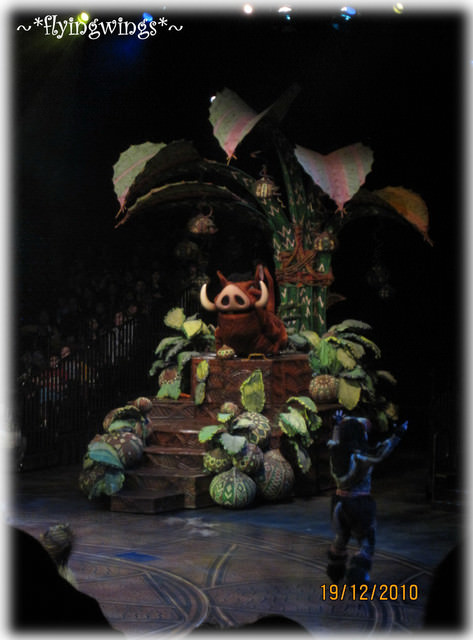 2010香港趴趴造~Day 2~夢幻樂園Disney~獅子王慶典