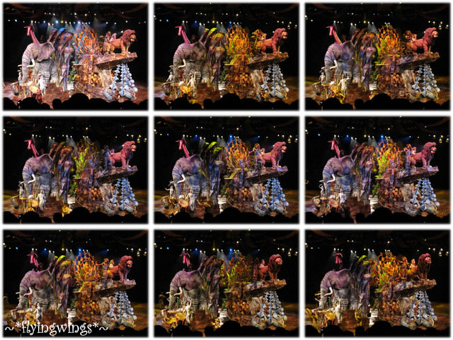 2010香港趴趴造~Day 2~夢幻樂園Disney~獅子王慶典