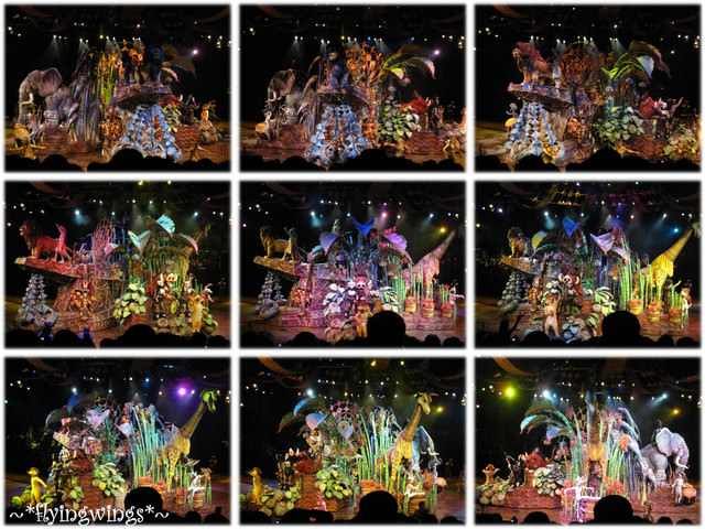 2010香港趴趴造~Day 2~夢幻樂園Disney~獅子王慶典