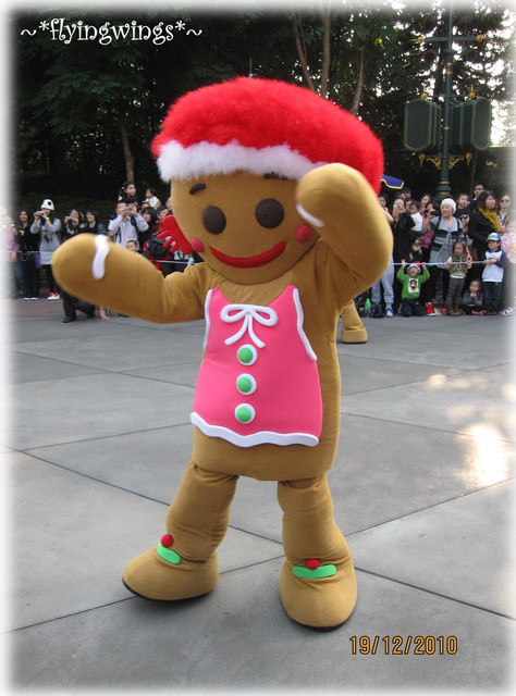 2010香港趴趴造~Day 2~夢幻樂園Disney~雪映舞動巡遊 - 第20張圖 2010香港趴趴造~Day 2~夢幻樂園Disney~雪映舞動巡遊