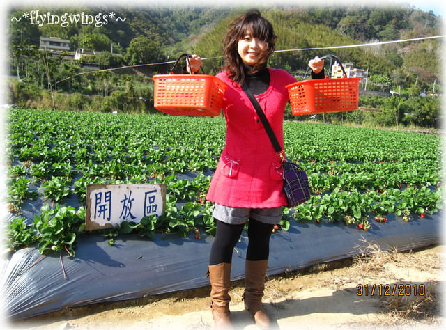 10。12。31~大湖草莓趣