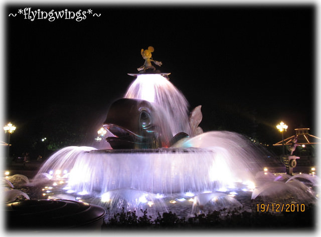 2010香港趴趴造~Day 2~夢幻樂園Disney - 第45張圖 2010香港趴趴造~Day 2~夢幻樂園Disney